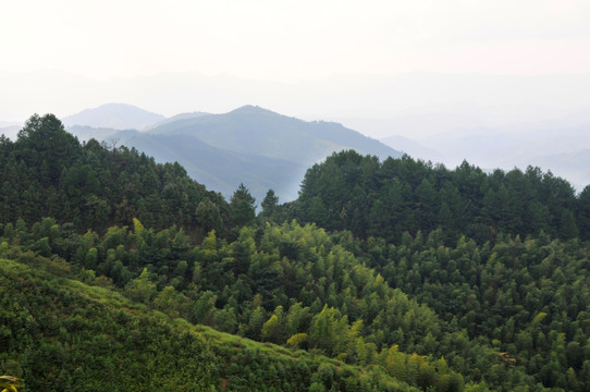 青山 群山