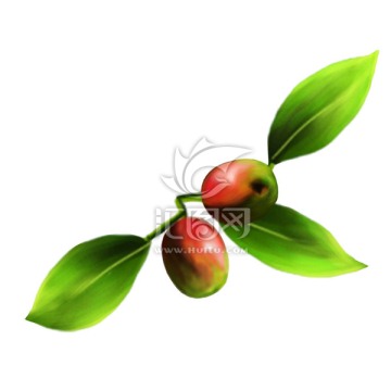 棗包裝設(shè)計(jì)