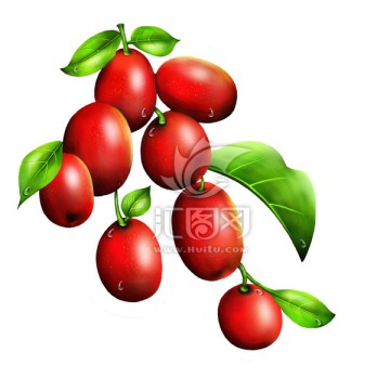 紅棗包裝設(shè)計