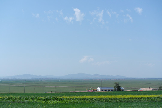 草原风光