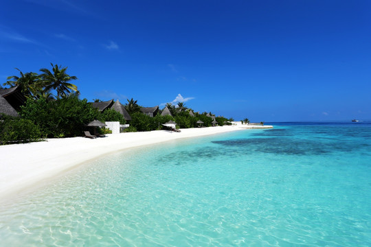 马尔代夫海滩沙屋建筑群风光