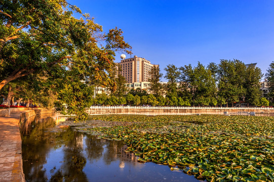 昆明翠湖公园