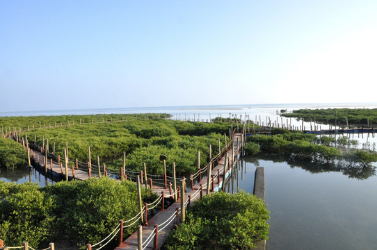 涠洲岛