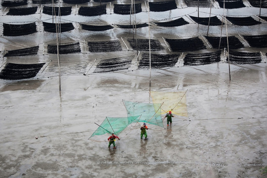 福建霞浦捕鱼场景