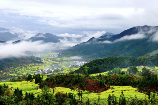 江西婺源梯油菜花风景jpg高清