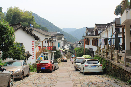 村庄 道路 茶园人家