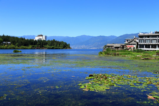 云南大理双廊洱海风光