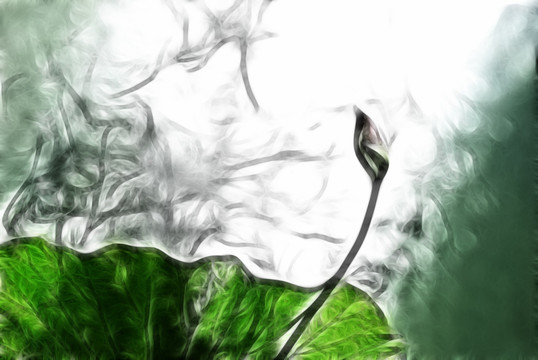 荷花 抽象畫 裝飾畫 無框畫