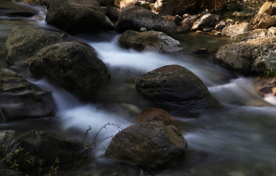 流水 溪流 小河 河流 苔藓