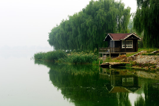 湖边小景