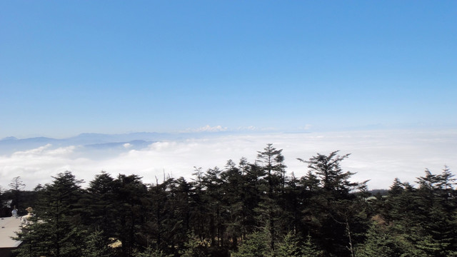 峨眉山云海 峨眉山 金顶云海