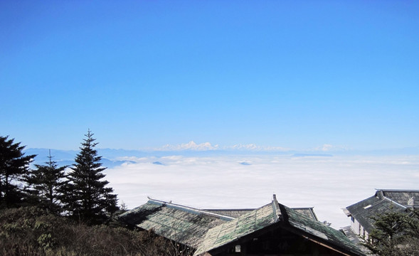 峨眉山云海 峨眉山 金顶云海