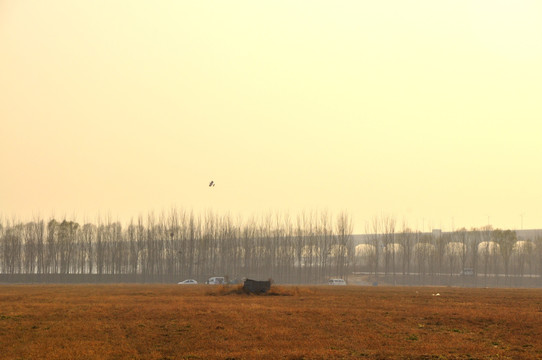 黄河风景