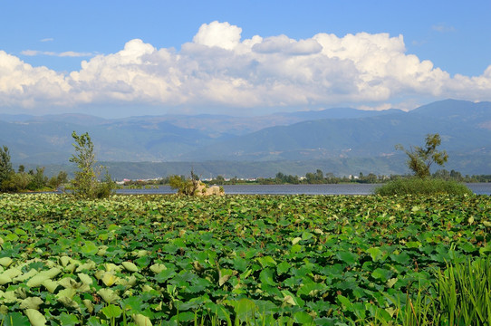 西昌湿地公园