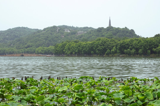 杭州西湖 断桥 宝石山 保俶塔