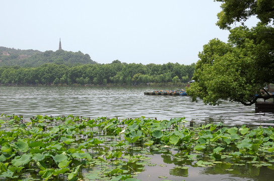 杭州西湖