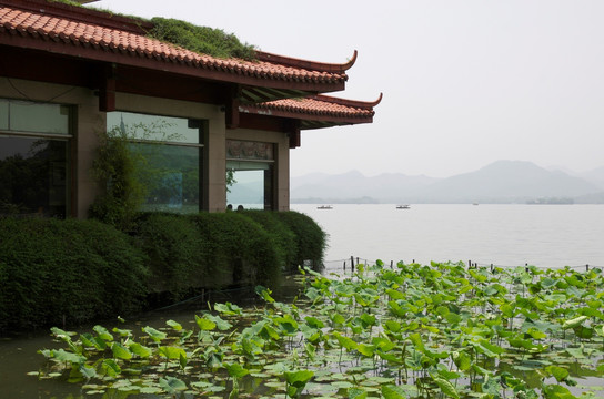 杭州西湖 湖边餐厅