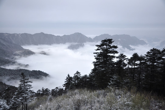 神农架冬季风景