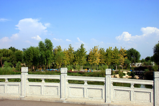 西安 浐灞生态区
