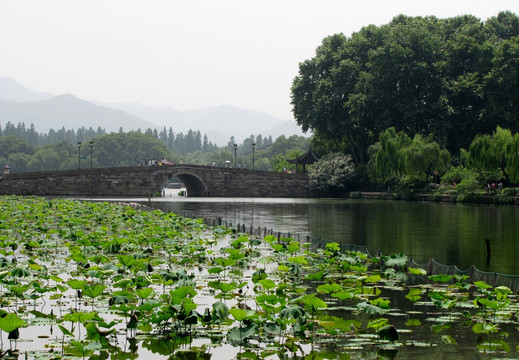 杭州西湖 西泠桥