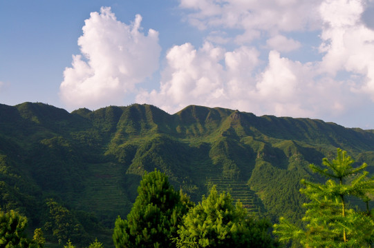 高山