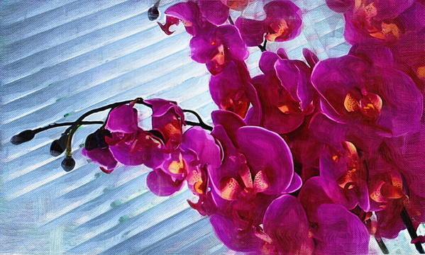油畫(huà) 花