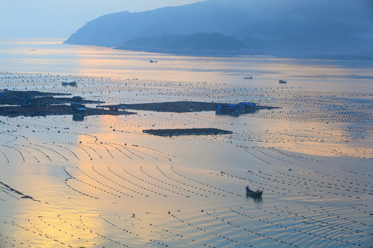 海鲜养殖