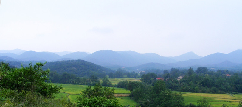 山 稻田