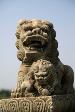 北京卢沟桥上的石狮子