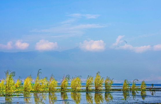 洱海风光