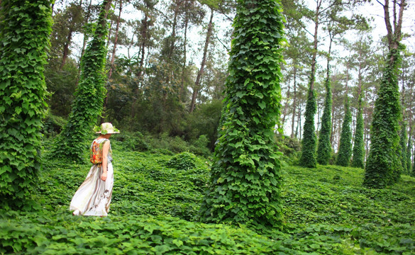 女人 背景实拍 高清摄影背景