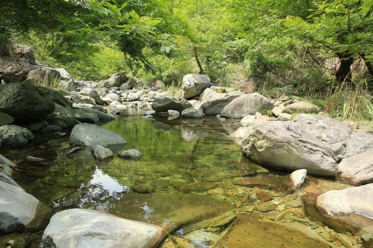 溪水风光