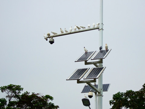 太阳能路灯