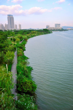 绿色堤岸和城市河流