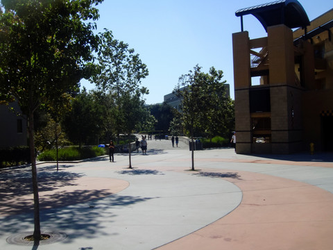 加利福尼亚大学