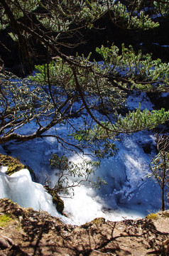 轿子雪山