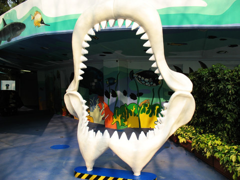 鲨鱼牙齿
