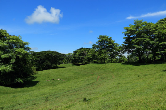 草原风光