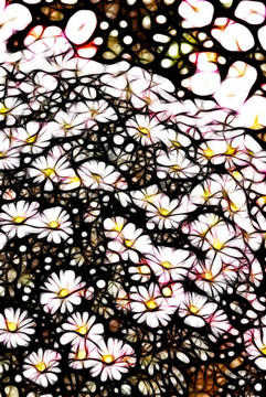裝飾畫 花