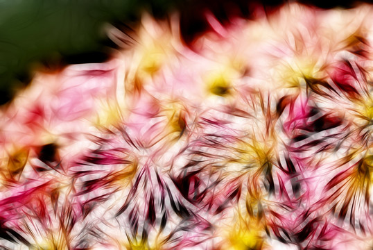 裝飾畫 花