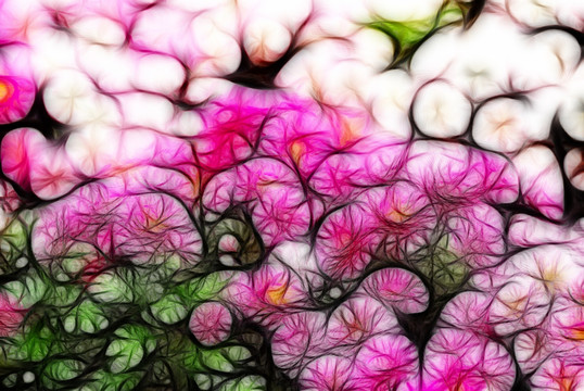 裝飾畫 花