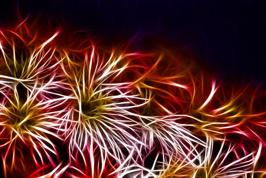 裝飾畫 花