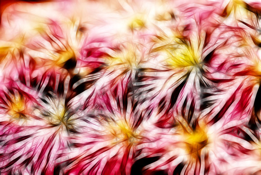 裝飾畫 花