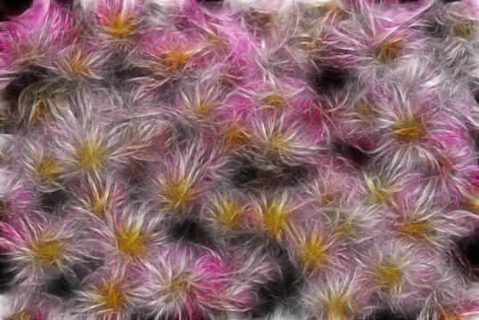 裝飾畫 花