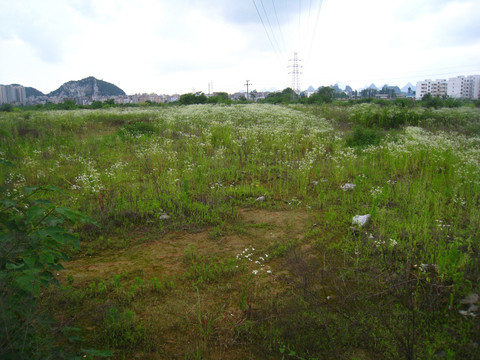 建干路旧照片