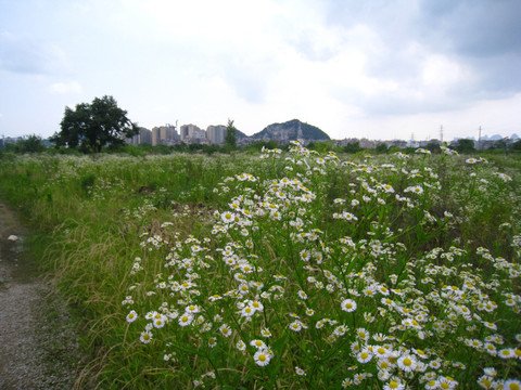 建干路旧照片