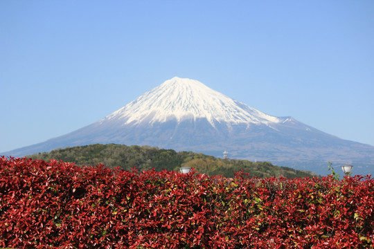 富士山