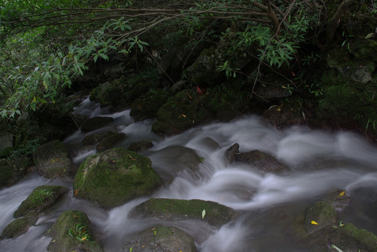 小溪流水