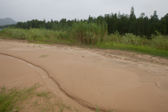 湿地 淤泥地 藻泽地 冲积地