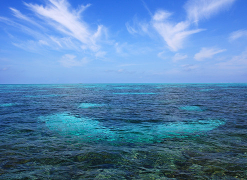 西沙群岛珊瑚石